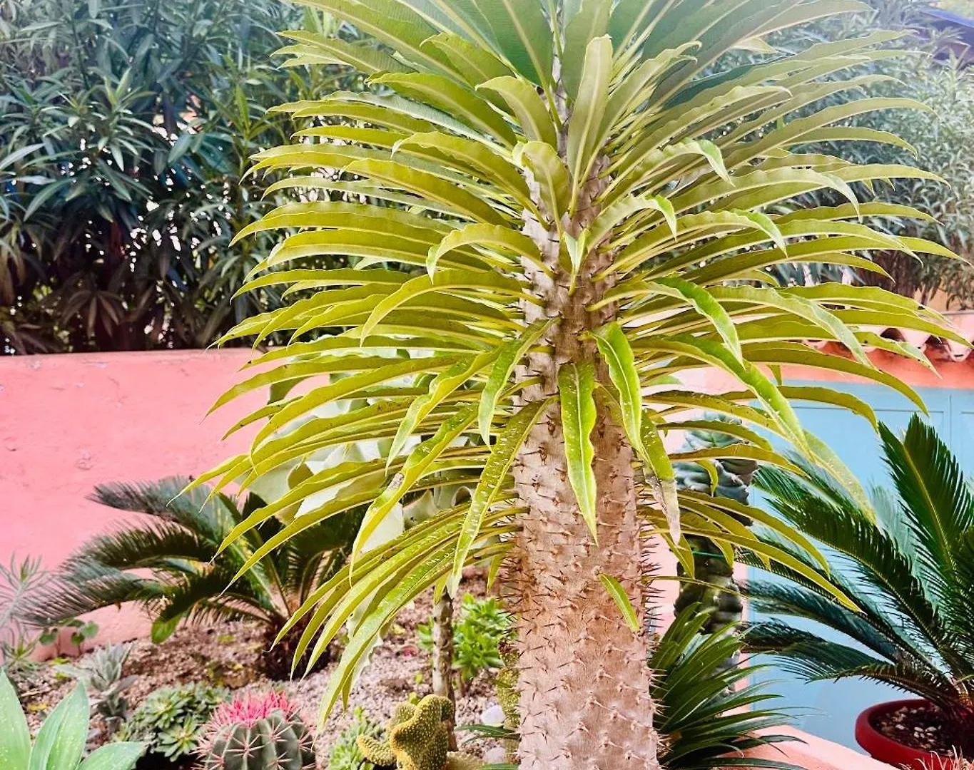 Il Giardino Davanti Al Mare Orosei Holiday home