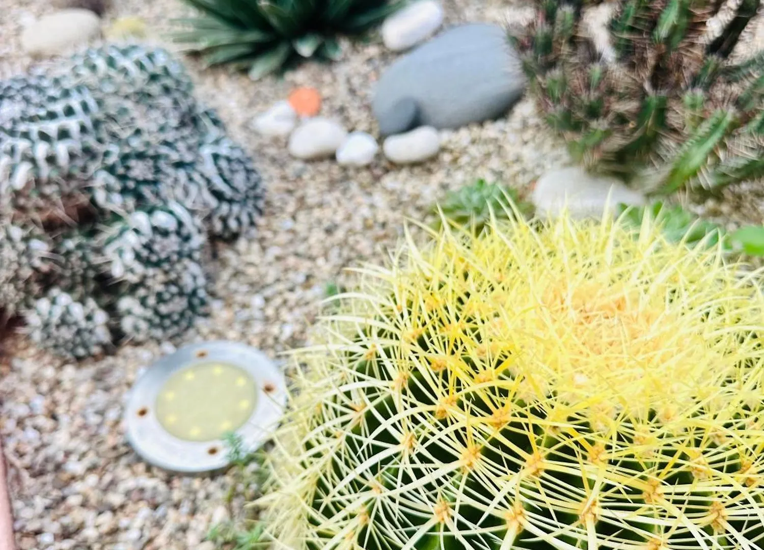 Il Giardino Davanti Al Mare Orosei 0*,